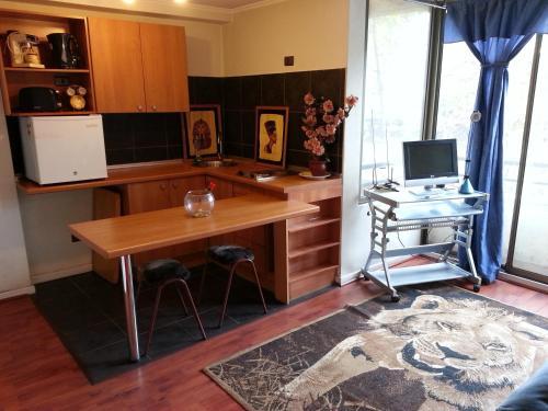 Kuizi Apartamento Santiago Centro