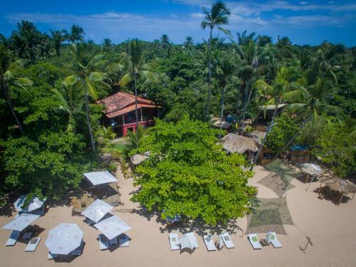 Hotel Raiz Do Muta