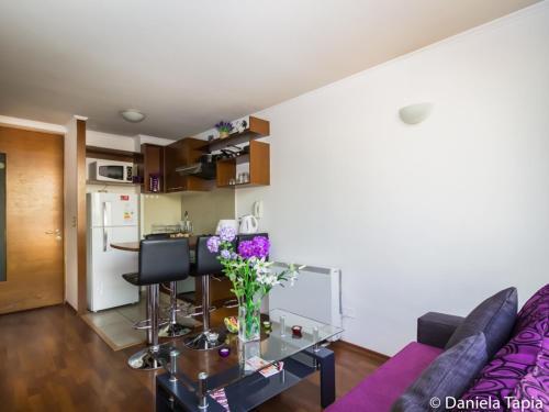 Apartamento San Isidro Plaza 292