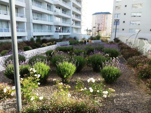 Apartamento Serena Pac�fico 1003