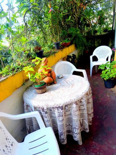 Pouso Das Glic�nias - B&B