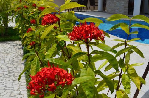 Apartamento Portinari Residence