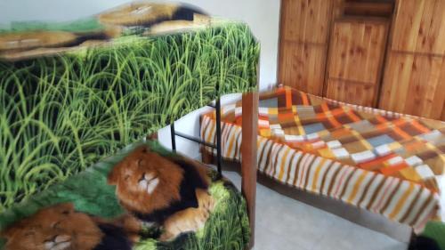 Albergue Hostal Los 3 Leones