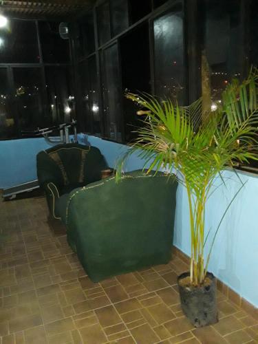 Albergue Hostal Los 3 Leones