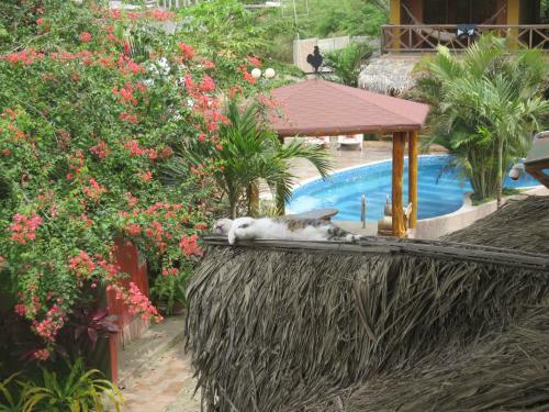 Hotel Nantu Hoster�a