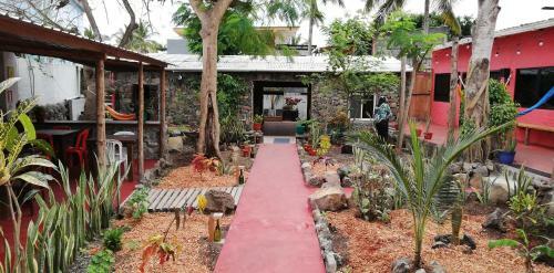 Albergue Hostal Galapagos Morning Glory