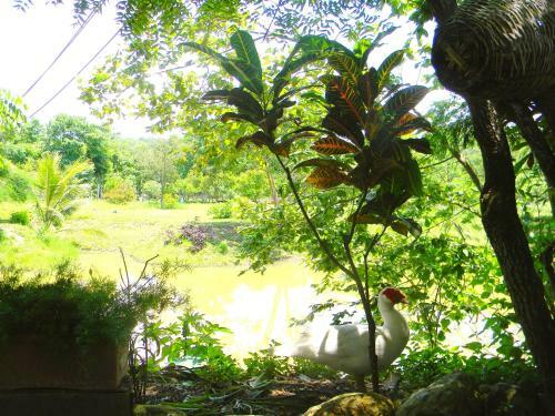 Hostal Lumaga
