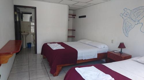 Hostal Hospedaje Darwin B&B