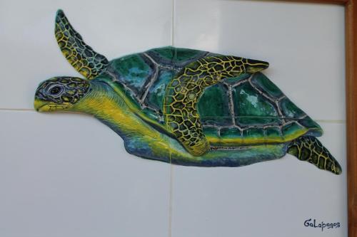 Galapagos Cottages