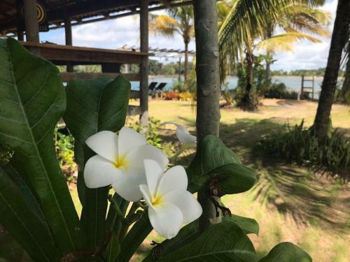 P�r Do Sol Eco Su�tes