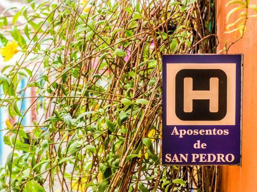 Hotel Aposentos De San Pedro