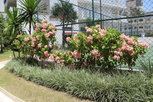 Apartamento Apto Vista Mar Com Lazer Total