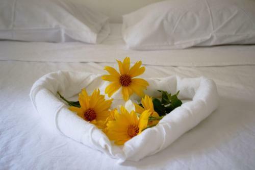 Hostal Mym Jericoacoara
