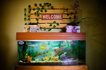 The Garden Of Blues Hostel