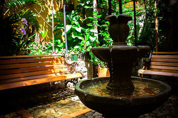 The Garden Of Blues Hostel