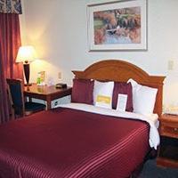 Hotel La Quinta Inn & Suites Willowbrook