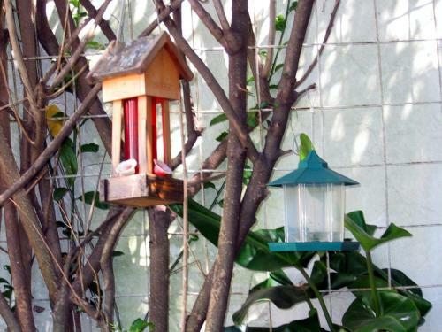 Bed & Breakfast La Cascada Townhouse Hotel