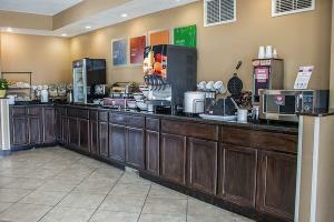 Hotel Comfort Inn & Suites Downtown