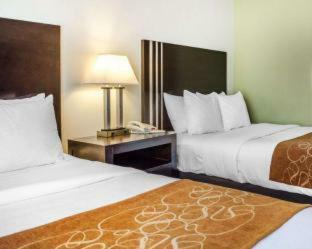 Hotel Comfort Suites Amish Country