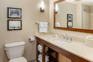 Hotel Comfort Suites Amish Country