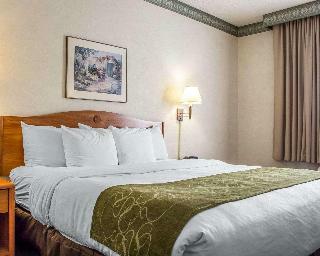 Hotel Comfort Suites At Metro Center