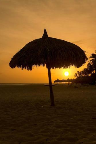 Hotel Divi Dutch Village Resort