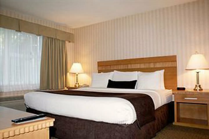 Hotel Coast Surrey Guilford