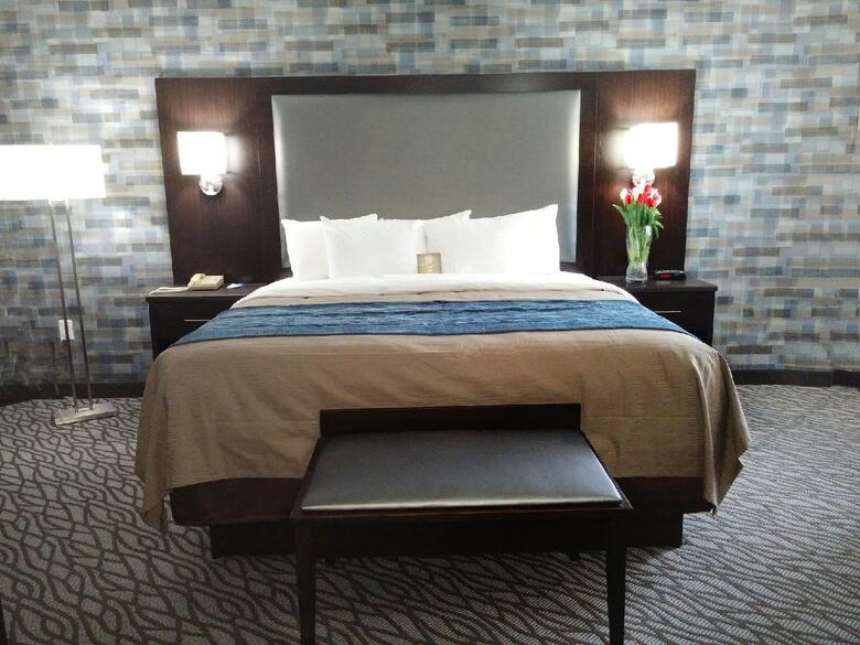Hotel Comfort Inn Montr�al A�roport