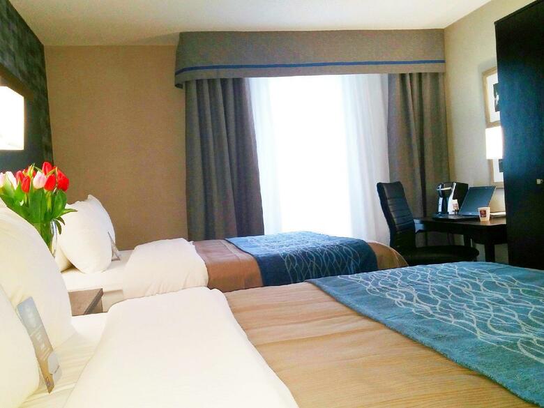 Hotel Comfort Inn Montr�al A�roport