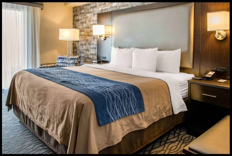 Hotel Comfort Inn Montr�al A�roport