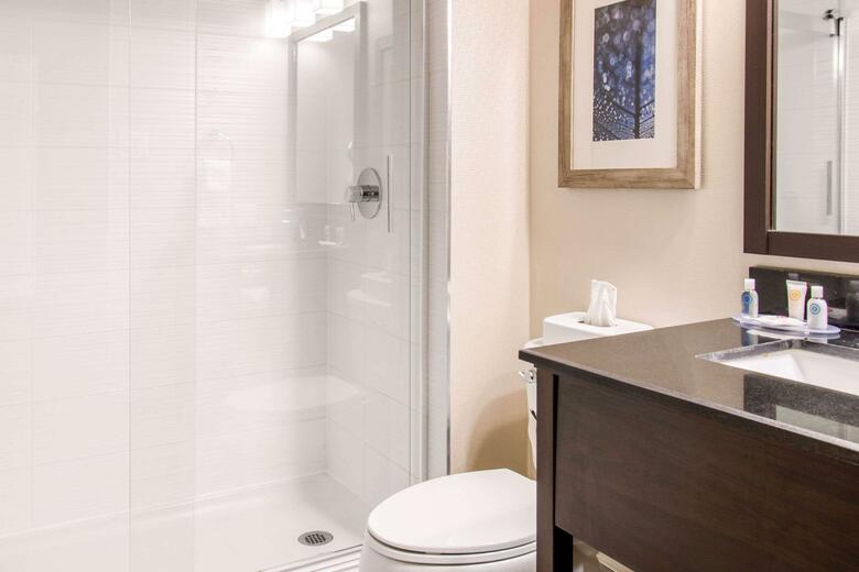 Hotel Comfort Inn Montr�al A�roport