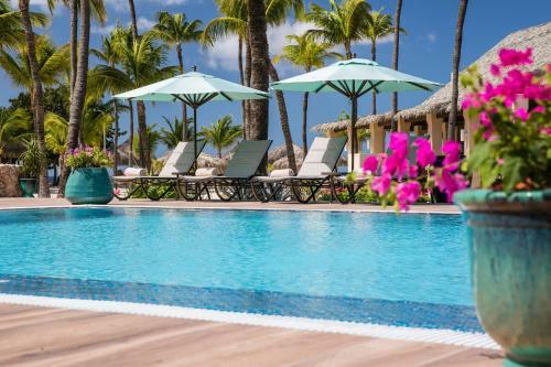 Hotel Manchebo Beach Resort And Spa