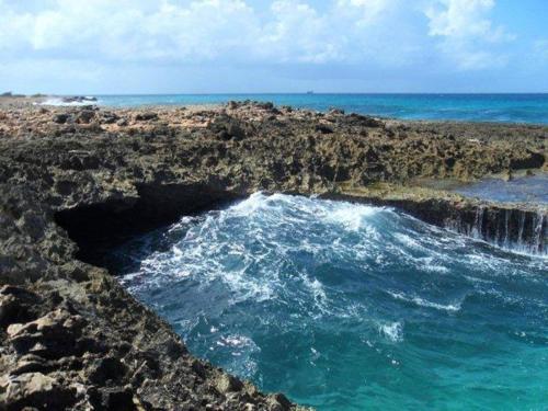 Apartamento Aruba Cunucu Residence