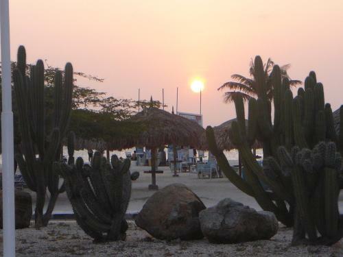La Cabana Brc Studio & Apartment
