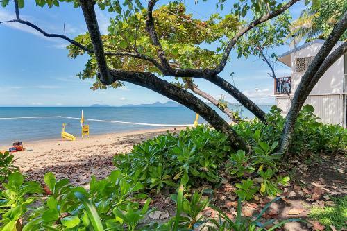 214 Spindle Cowrie Apartment