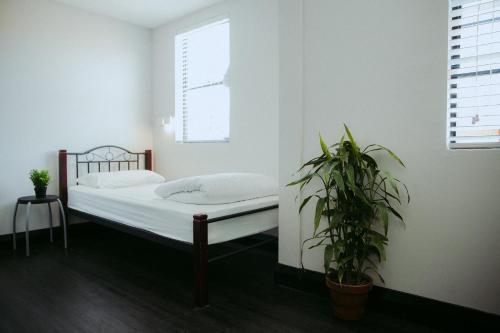 Albergue The Village Bondi Beach