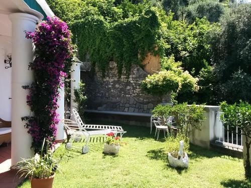 Bed & Breakfast La Maliosa D'arienzo