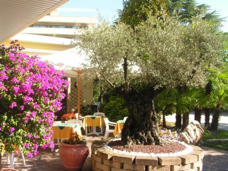 Hotel Lanterna