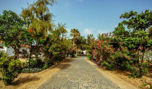 Private Villa With Pool On Tortuga Beach Resort
