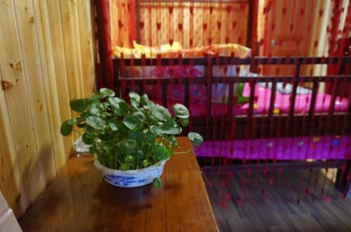 Wuzhen Spring Family Inn
