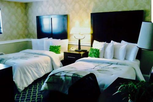 Hotel Rodeway Inn Boston Logan Airport
