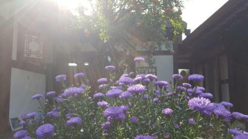 Hostal Inyeon Hanok Guesthouse