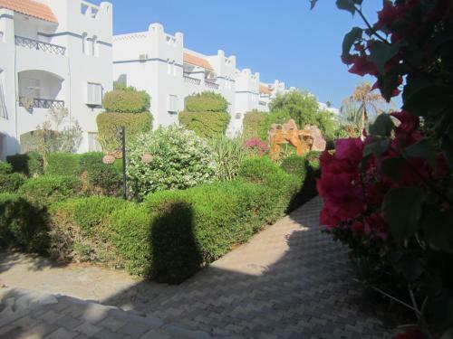 Rivera Sharm Habiba Apartments
