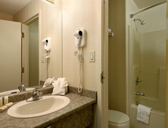 Hotel Days Inn - Windsor