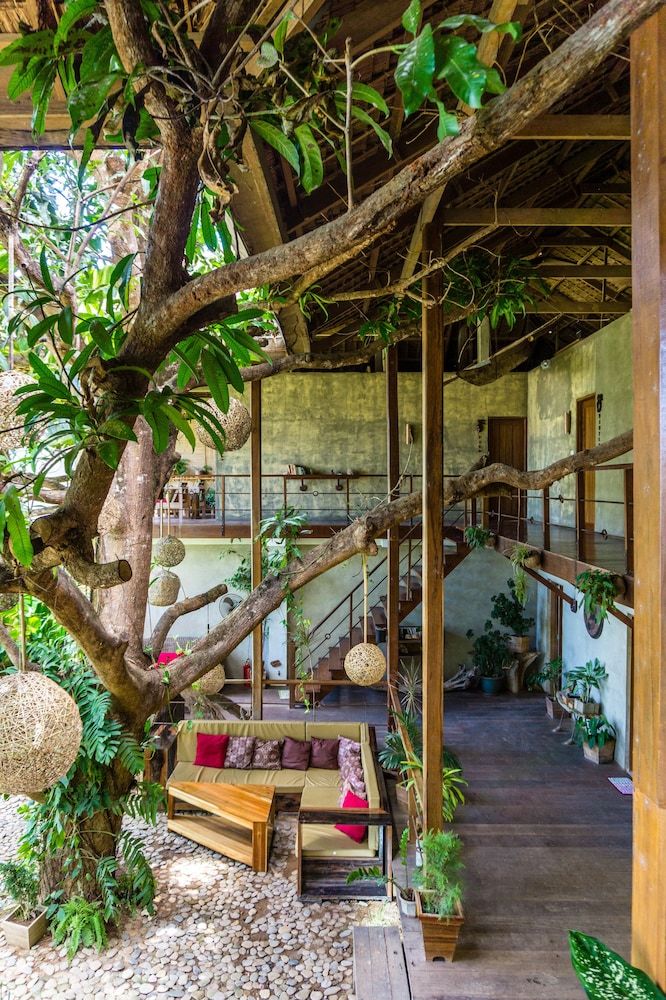 Hotel Bluemango Rooms & Villas