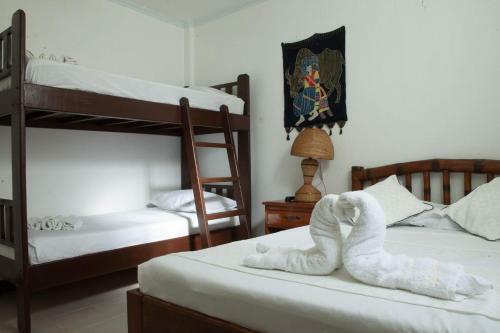 Hotel Isla Gecko Resort