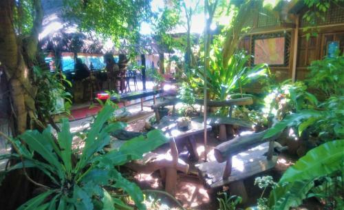 Sheebang Hostel