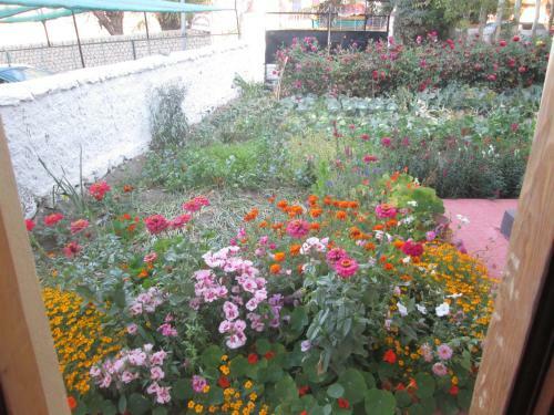 Hostal New Moon Guest House