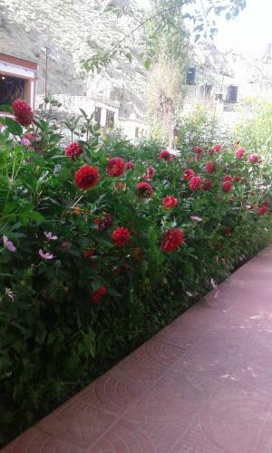 Hostal New Moon Guest House