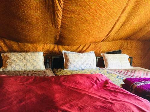 Northern Adventures & Camps